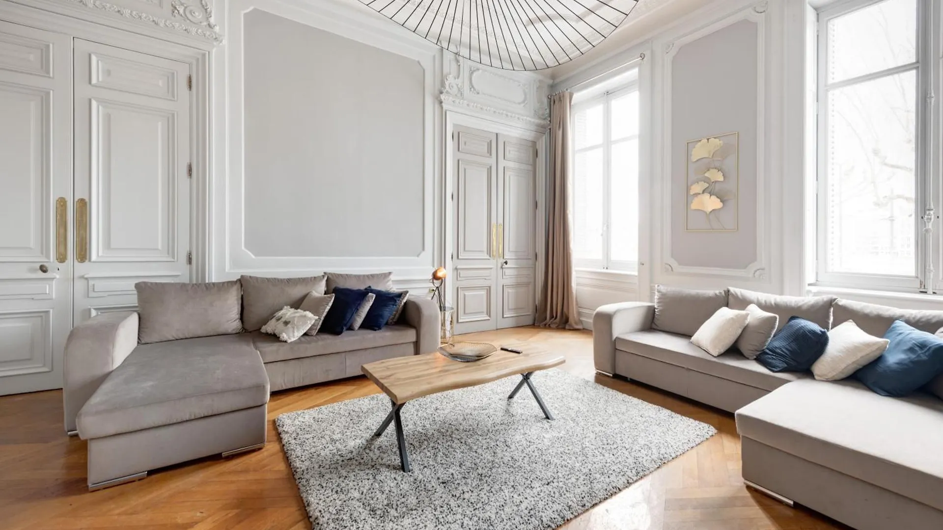 Le Rhone Haussmannien, Luxueux Spacieux Et Raffine Au Coeur De Lyon 6E Vue Rhone